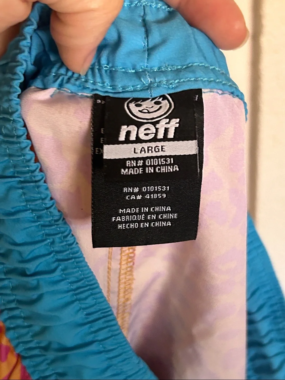 Neff Retro Beach Shorts